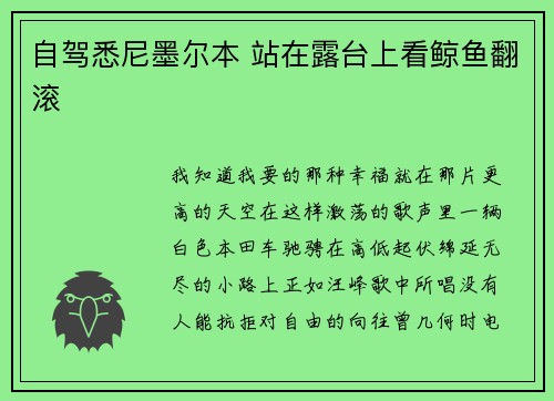 自驾悉尼墨尔本 站在露台上看鲸鱼翻滚